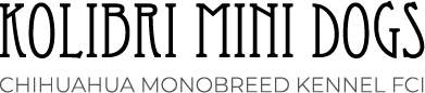 logo text top